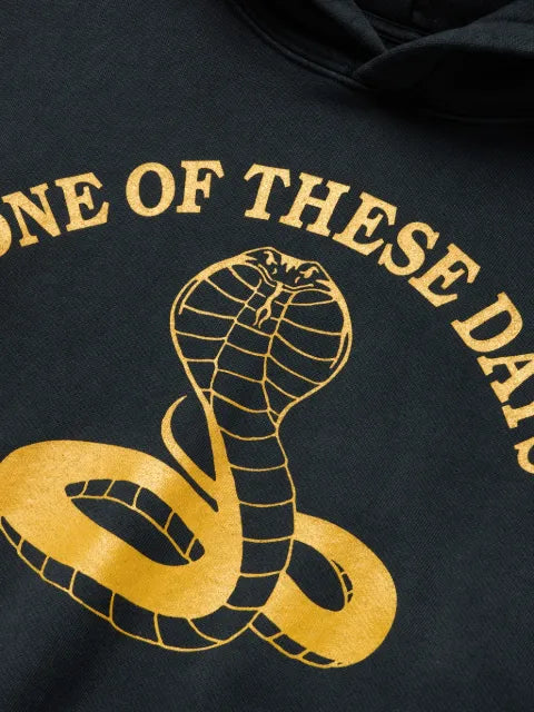 One Of These Days Cobra hoodie